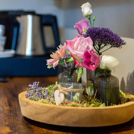 Au Coeur De 4* Han-sur-Lesse